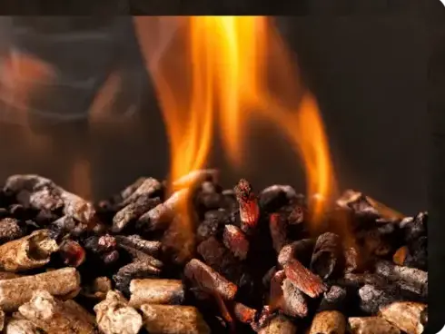 palette de bois de chauffage Janzé-1