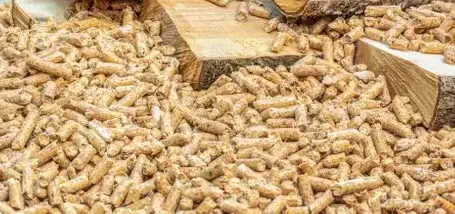 palette de bois de chauffage à Janzé - image 2