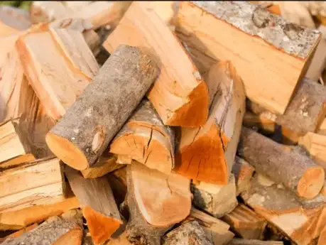 palette de bois de chauffage Janzé-5