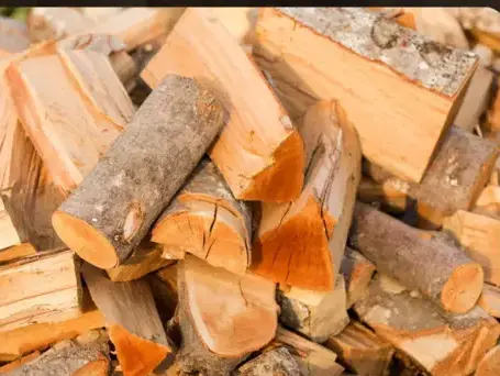 palette de bois de chauffage à Rennes - image 4