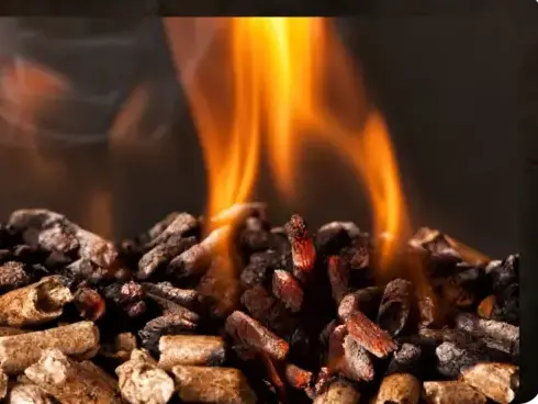 palette de bois de chauffage Rennes-5