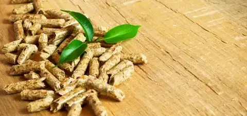 palette de bois de chauffage Saint-Malo-1