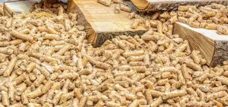 palette de bois de chauffage à Saint-Malo - image 4