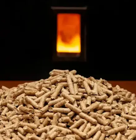 vente sciure de bois chauffage à Bain-de-Bretagne - image 2