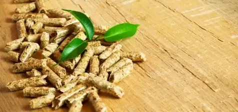 vente sciure de bois chauffage Bain-de-Bretagne-5