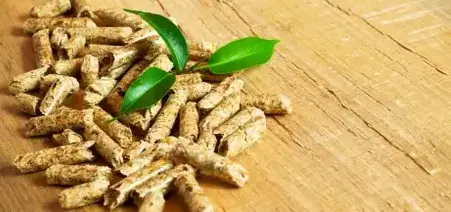 vente sciure de bois chauffage à Cesson-Sévigné - image 2