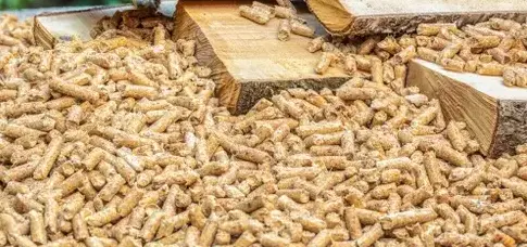 vente sciure de bois chauffage à Cesson-Sévigné - image 3