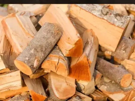 vente sciure de bois chauffage à Cesson-Sévigné - image 4