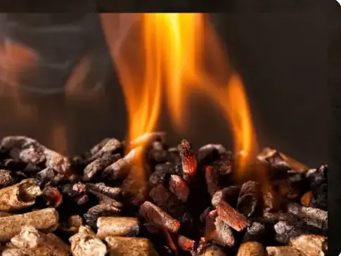 vente sciure de bois chauffage Châteaubourg-1