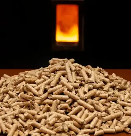 vente sciure de bois chauffage Dinan-1