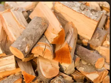 vente sciure de bois chauffage à Dinan - image 2