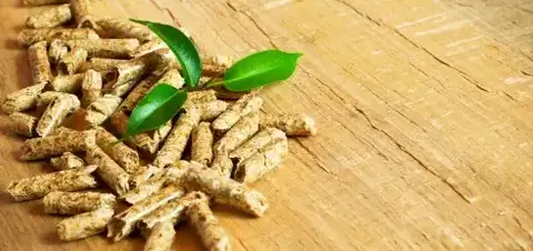 vente sciure de bois chauffage à Dinan - image 3