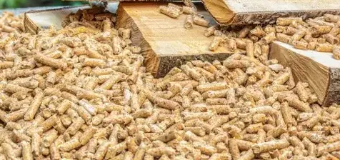 vente sciure de bois chauffage à Dinan - image 4