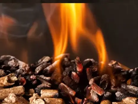 vente sciure de bois chauffage Dinan-5