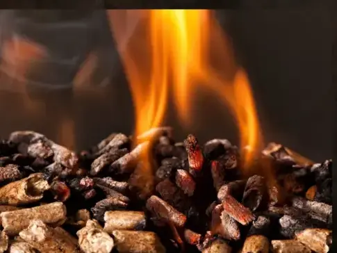 vente sciure de bois chauffage Dinard-1