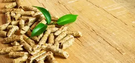 vente sciure de bois chauffage à Dinard - image 3