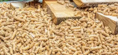 vente sciure de bois chauffage à Dinard - image 4