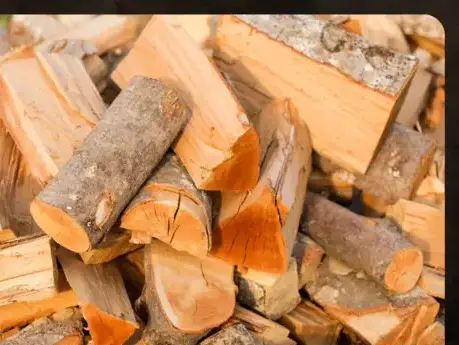 vente sciure de bois chauffage Fougères-1