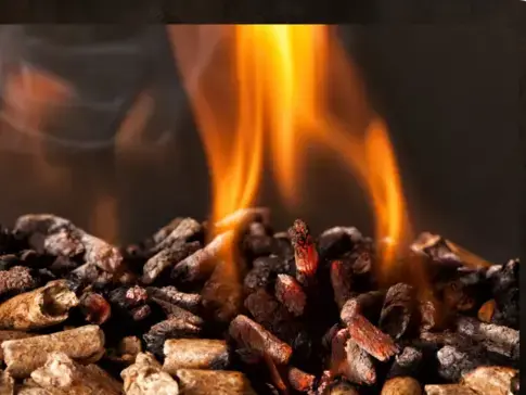 vente sciure de bois chauffage à Fougères - image 2