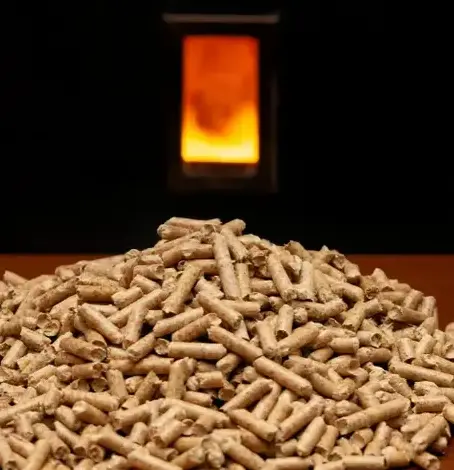 vente sciure de bois chauffage à Fougères - image 4