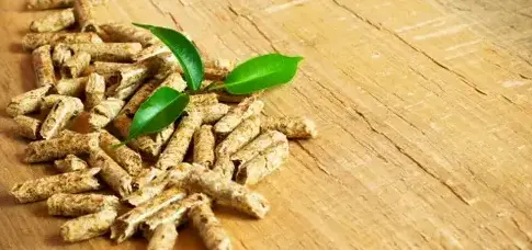 vente sciure de bois chauffage Fougères-5