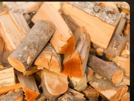 vente sciure de bois chauffage à Janzé - image 2