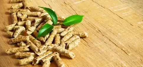 vente sciure de bois chauffage à Janzé - image 3