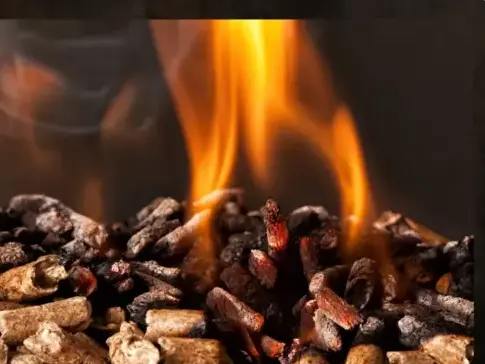 vente sciure de bois chauffage à Janzé - image 4