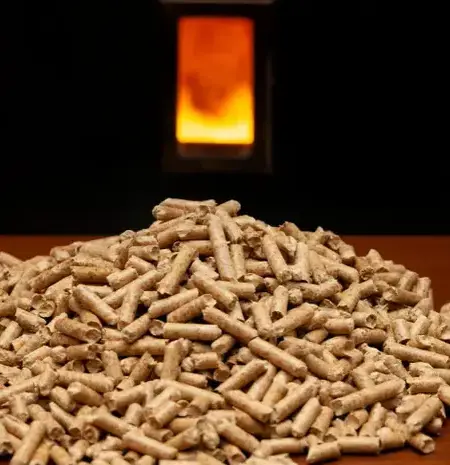 vente sciure de bois chauffage à Rennes - image 2