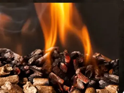 vente sciure de bois chauffage à Rennes - image 3