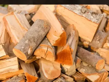 vente sciure de bois chauffage Saint-Malo-1