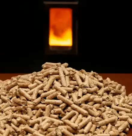 vente sciure de bois chauffage à Saint-Malo - image 2