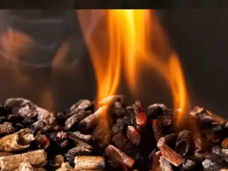 vente sciure de bois chauffage à Saint-Malo - image 4