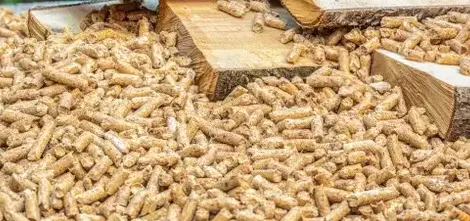 vente sciure de bois chauffage Saint-Malo-5